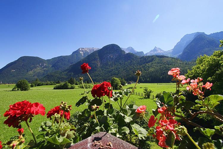 Hotel Haus Hohenwarter Lofer Pokoj fotografie