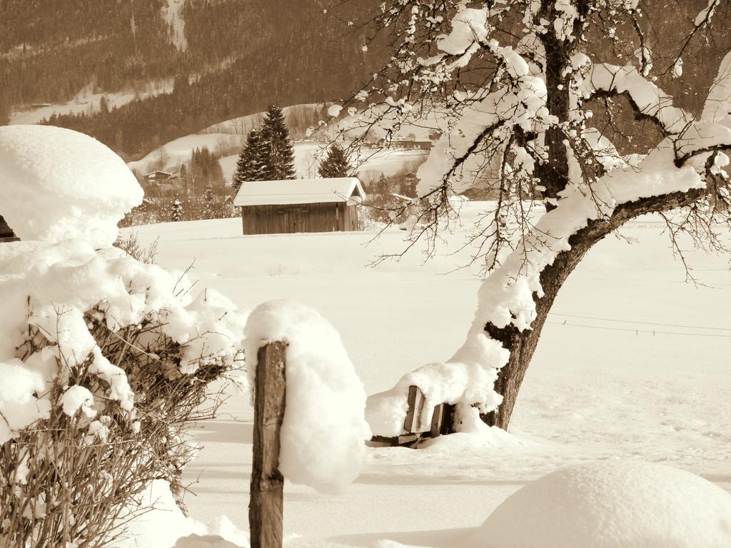 Hotel Haus Hohenwarter Lofer Pokoj fotografie